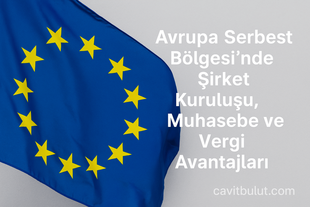 Avrupa Serbest Bölgesi Muhasebe