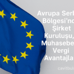 Avrupa Serbest Bölgesi Muhasebe