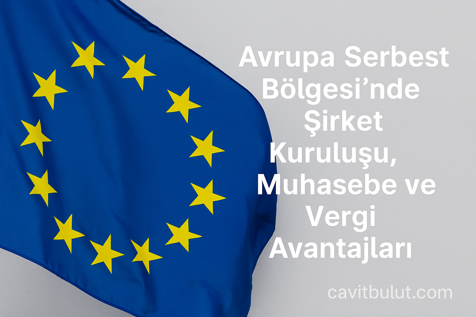 Avrupa Serbest Bölgesi Muhasebe